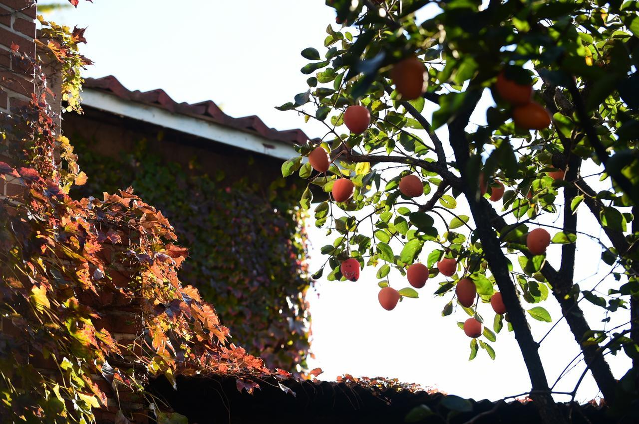 Photo Park Guesthouse Seul Zewnętrze zdjęcie