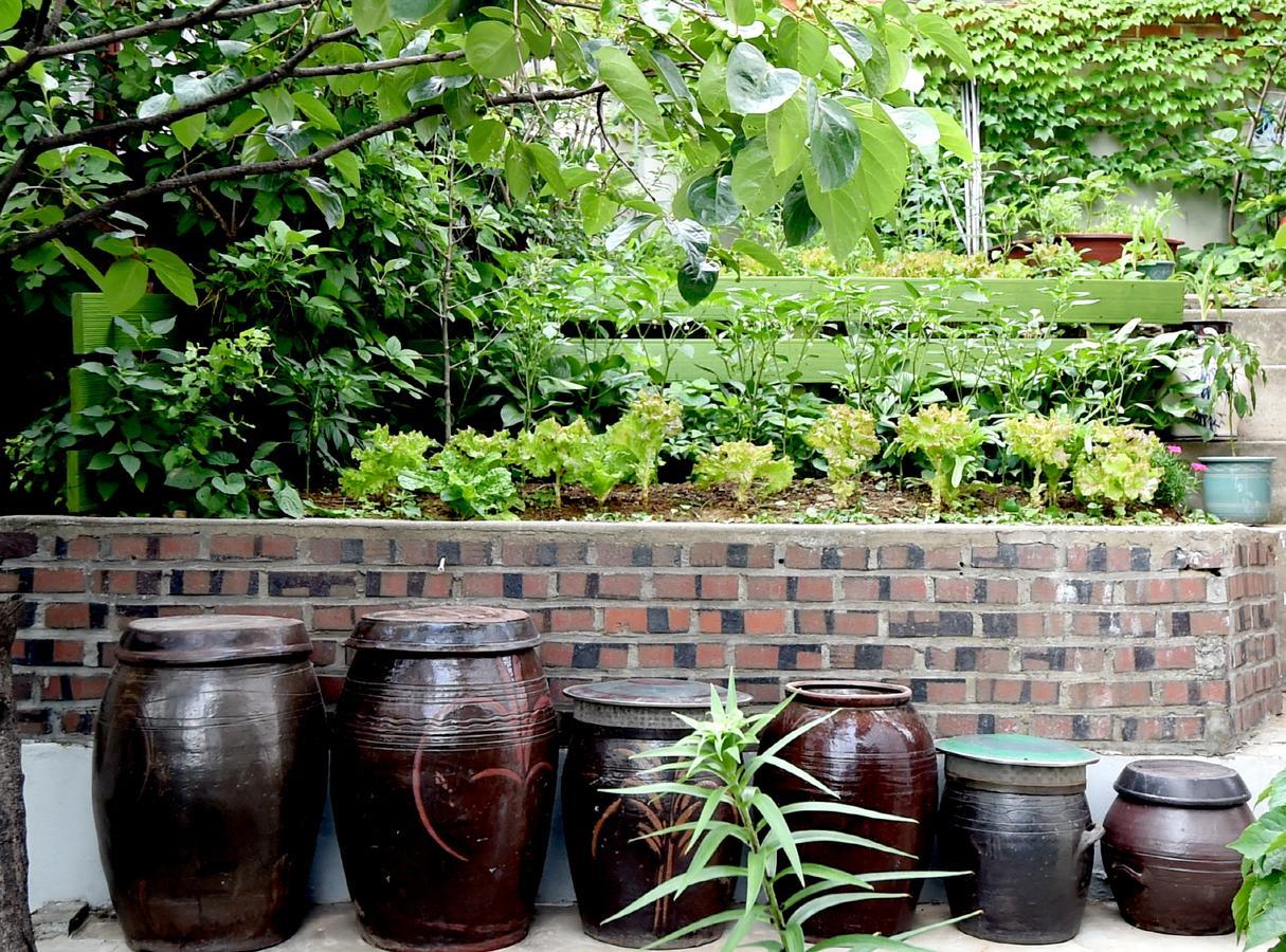 Photo Park Guesthouse Seul Zewnętrze zdjęcie